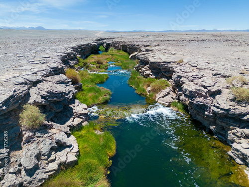 Salado River near Calama in the north of Chile - a crack with fresh water, lush green vegetation and even trouts crossing the otherwise bone dry Atacama desert - what a spectacular surprise by nature photo