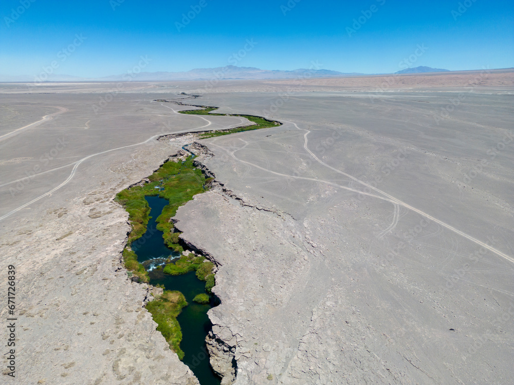 Fototapeta premium Salado River near Calama in the north of Chile - a crack with fresh water, lush green vegetation and even trouts crossing the otherwise bone dry Atacama desert - what a spectacular surprise by nature