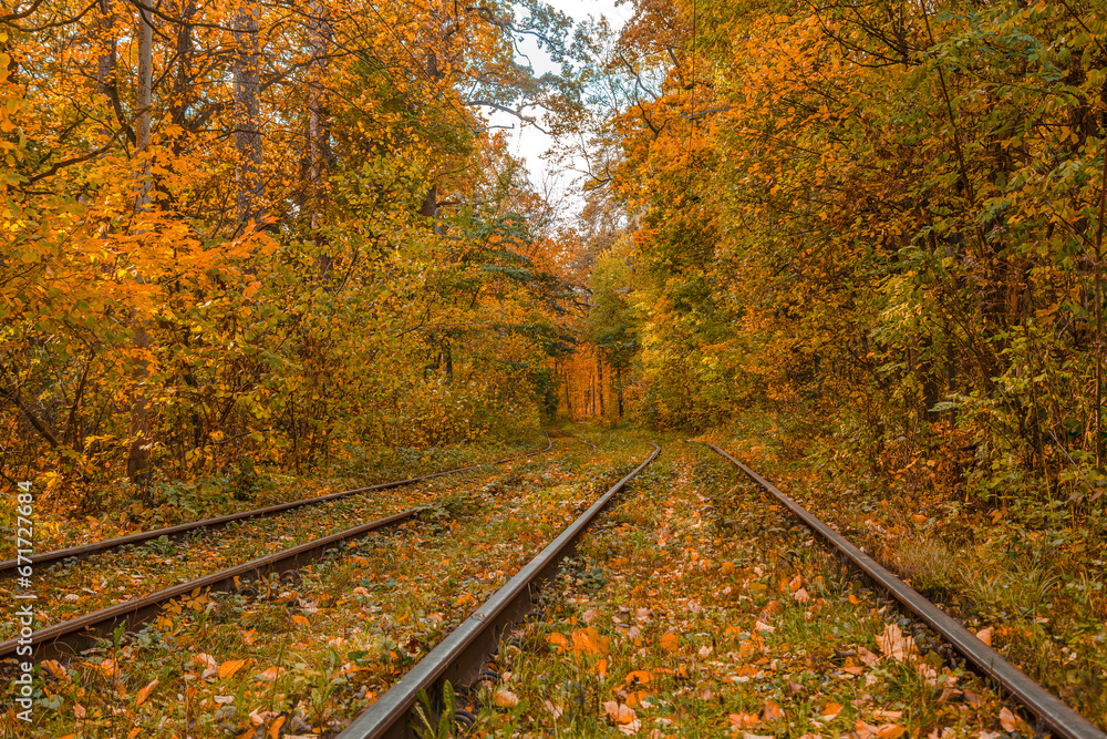 Autumn forest through which the tram travels, Kyiv and rails Autumn forest through which the tram travels, Kyiv and rails
