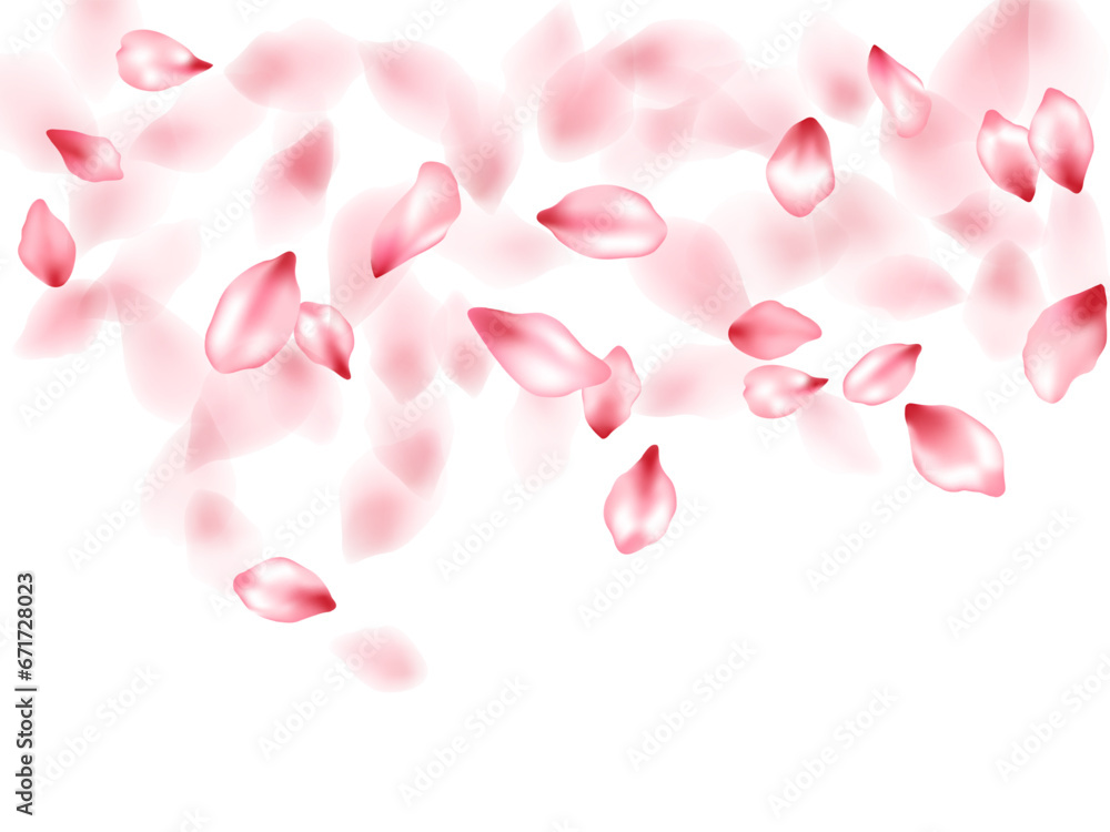 Pink sakura flower flying petals isolated on white vector background. Pink sakura flower flying petals isolated on white vector background.