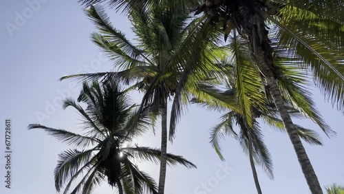 Palmeras en la playa