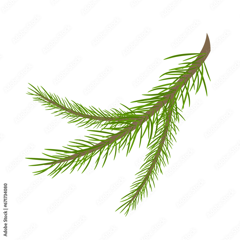 Branch of a Christmas tree, isolated on a white background, for the design of your projects. Vector illustration Branch of a Christmas tree, isolated on a white background, for the design of your projects. Vector illustration