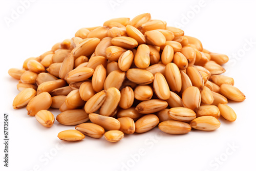 Toasted pine nuts isolated for presentation on a plain backdrop.