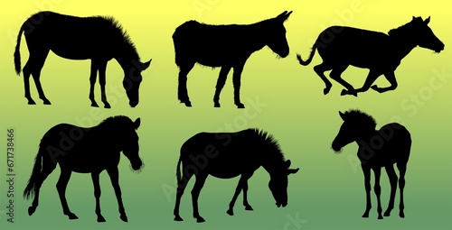 silueta  caballo  animal  vector  animal  