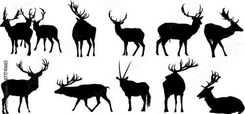ciervo, animal, silueta, vector photo
