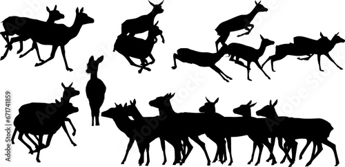 ciervo, animal, silueta, vector