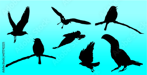 aves, ave, silueta, vector