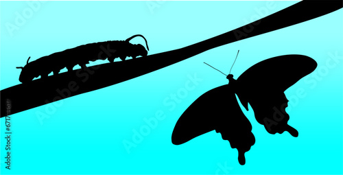 vector, ilustración, mariposa, oruga