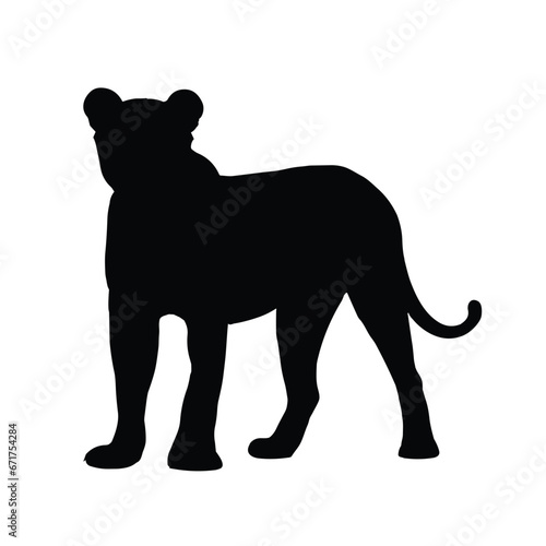 Lion Silhouette. Lion Vector Illustration. Lion Artwork.