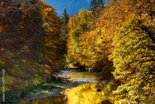 Die sch  ne Farbenfrohe Herbstnatur in Bayern 