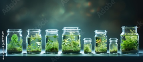 Green algae in the lab biofuel technology biotech idea