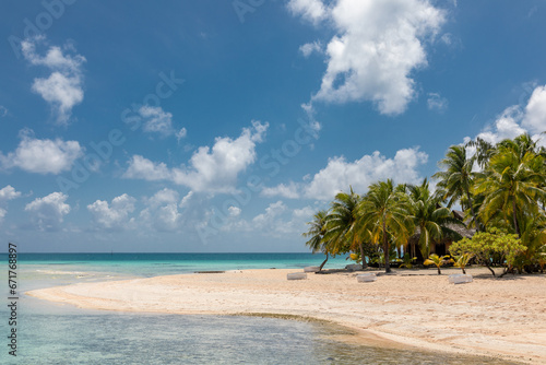 Fototapeta Naklejka Na Ścianę i Meble -  French Polynesia Tikehau atoll with sandy beach, palm trees and blue sky.