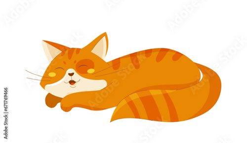 Fototapeta Naklejka Na Ścianę i Meble -  Cute orange cat vector