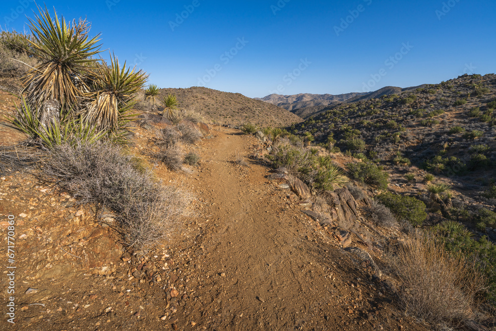 hiking the lost horse mine loop trail in joshua tree national park, california, usa hiking the lost horse mine loop trail in joshua tree national park, california, usa