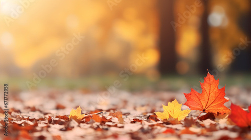 Autumn fall holiday seasonal banner landscape panorama - Closeup of colorful maple leaves on the ground in a park  with defocused background with bokeh