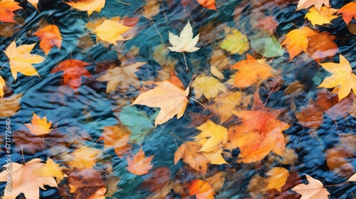  a group of leaves floating on top of a body of water in front of a blue sky with a reflection of the leaves on the surface of the water. generative ai