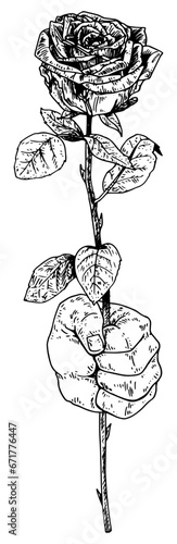 Fist giving rose vector illustration