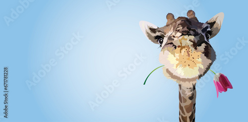 Cute giraffe, flower in the mouth, background, beautiful animal