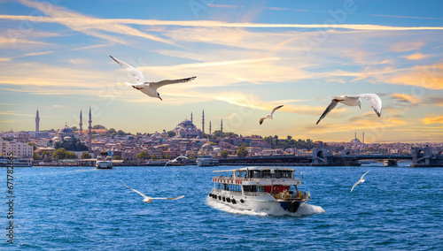 Seagulls and boats in front of the Istanbul sights on Bosphorus, Turkey