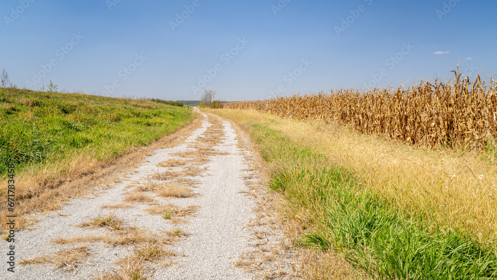 gravel road across Nebraska farmland - Steamboat Trace, bike trail converted from old railroad near Peru, NE