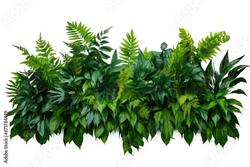 Tropical leaves foliage plant bush floral arrangement  Areca palm  Philodendron  Swiss cheese  Bamboos  isolated on a transparent background. PNG  cutout  or clipping path.