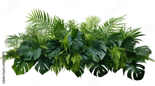 Tropical leaves foliage plant bush floral arrangement (Areca palm, Philodendron, Swiss cheese ,Bamboos) isolated on a transparent background. PNG, cutout, or clipping path. © Transparent png