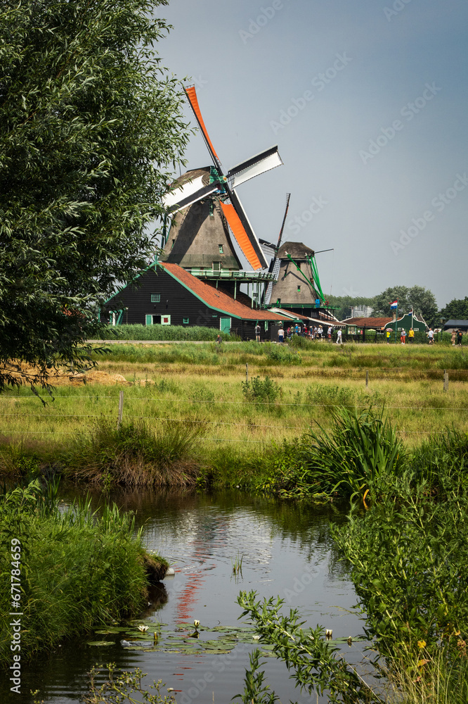 Fototapeta premium classic Dutch windmills in an idyllic landscape