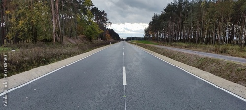 Obraz na płótnie Droga przez las.