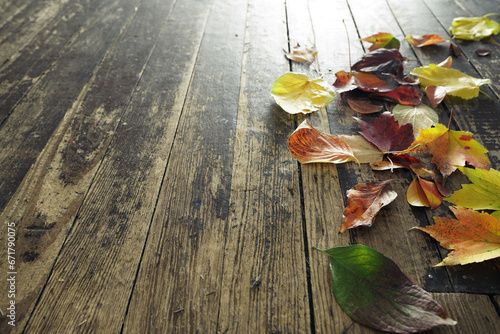 Colorful Autumn leaves on worn hardwood with copyspace, low angle photo