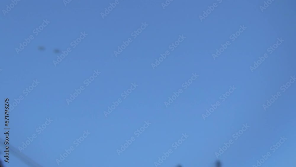 A large number of honey bees fly against the background of the blue sky. A swarm of insects bustles about on a summer day A large number of honey bees fly against the background of the blue sky. A swarm of insects bustles about on a summer day