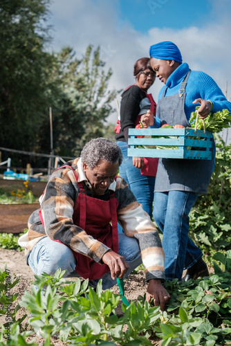 Family taking care of and collecting from their organic garden to have fresh seasonal food. Concept: garden, food, agriculture