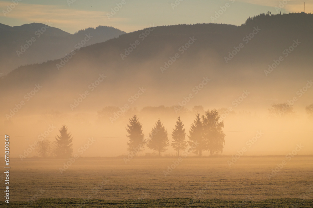 Fototapeta premium Dramatic sunrise over rural farmland with ground fog adding atmosphere. Morning in the Skagit Valley is an almost magical event as the color and texture make for a beautiful landscape. Washington, US