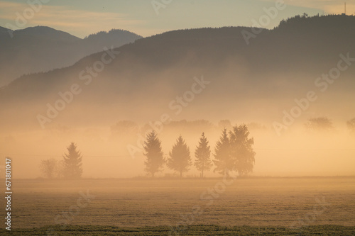 Dramatic sunrise over rural farmland with ground fog adding atmosphere.  Morning in the Skagit Valley is an almost magical event as the color and texture make for a beautiful landscape. Washington  US