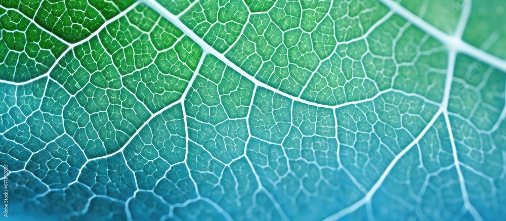 Closeup of a mosaic patterned plant leaf on a vegetable themed abstract wallpaper with a blue green background Macro view