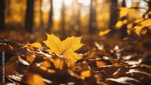 autumn leaves on the ground abstract nature autumn background yellow leaves gold