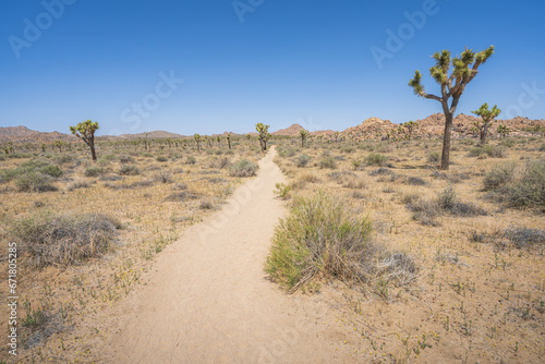 hiking the lost horse mine loop trail in joshua tree national park, california, usa