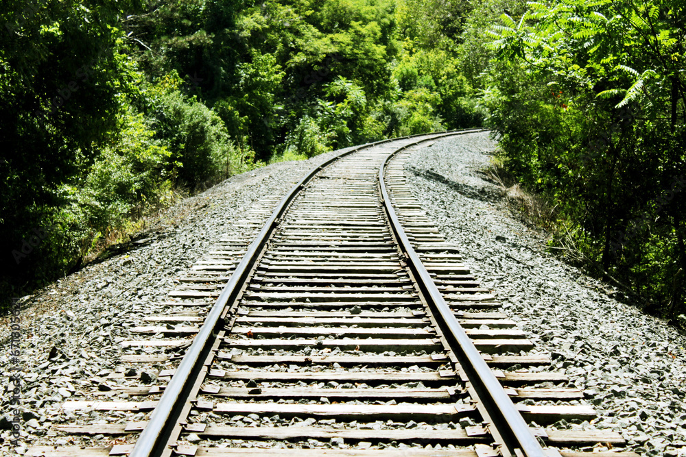 Photograph of an old railway track in the middle, surrounded by greenery, trees and bushes on a clear, sunny day with soft light