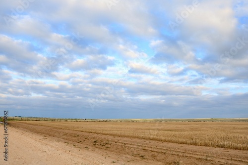 Texas Panhandle Field photo