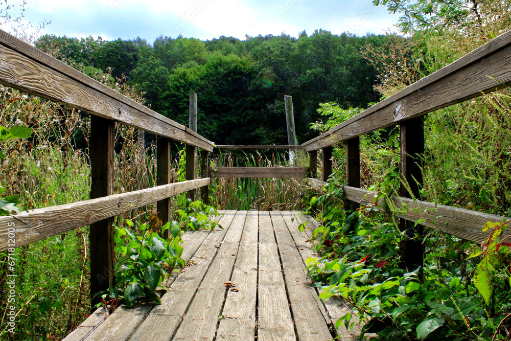 Fototapeta premium A wooden bridge over a swamp, surrounded by wildflowers and tall grasses. The view is from behind with green trees in the background.
