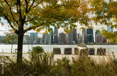 Fototapeta Naklejka Na Ścianę i Meble -  Manhattan skyline behind golden colored tree at the waterfront park in Long Island City, New York