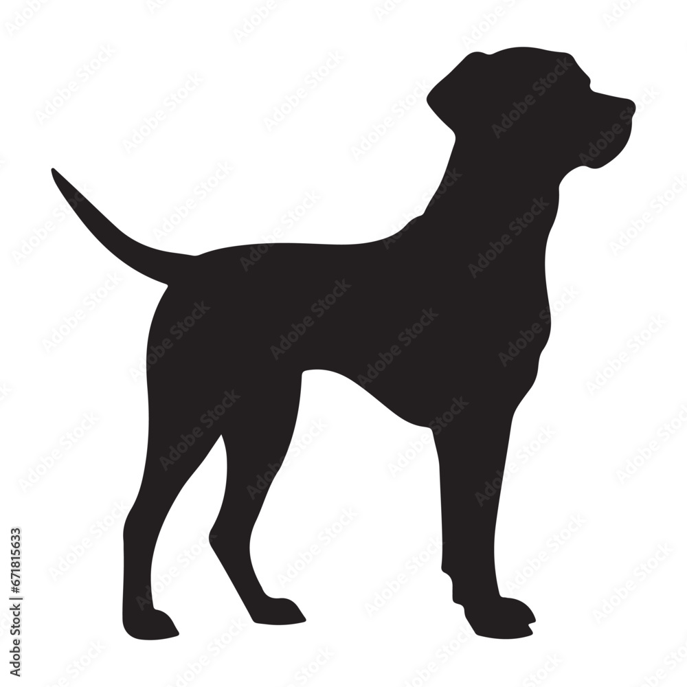 A black Silhouette Bella dog 
