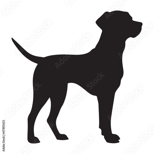 A black Silhouette Bella dog  