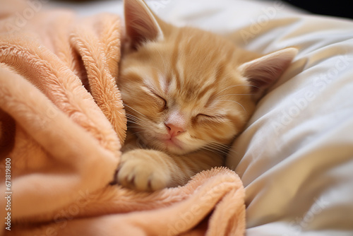 Little cute kitten lying in a light soft bed