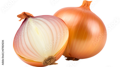 onion on white background
