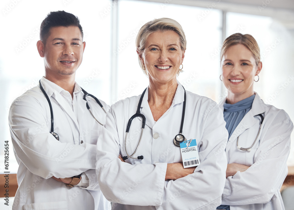 Fototapeta premium Healthcare, teamwork and portrait of doctors in hospital for wellness, medical service and support. Collaboration, diversity and health workers smile in clinic for insurance, trust and medicine