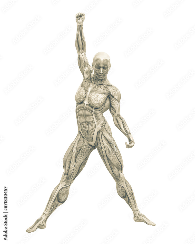 female swole muscle maps on a classic rock pose