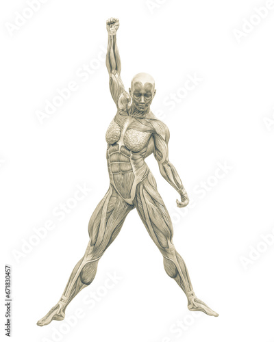 female swole muscle maps on a classic rock pose