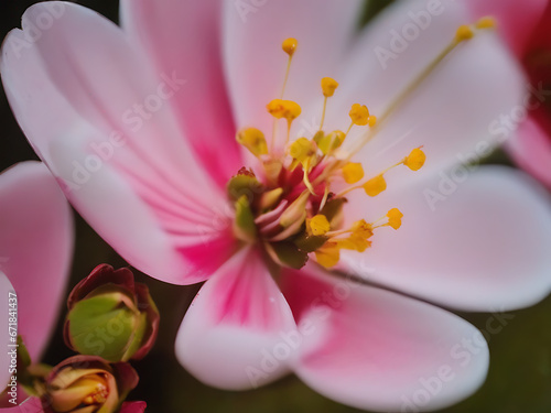 blossom in full bloom up close. photographing a Pansles blossom up close. a floral design background. Close up of a blooming medicinal plant. Nature based idea. generative ai photo