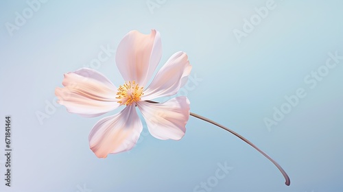 Radiant Roses Seamless Flower Backgrounds Coastal Oasis Beachy Floral Treasures