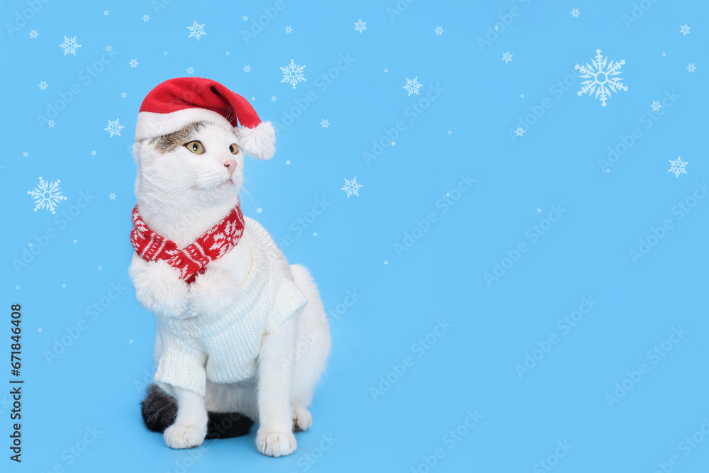 White Cat wearing Santa hat. Christmas concept. Holiday background. Santa's helper. Merry Christmas. Xmas. For card or invitation with copy space. Santa cat. Happy New Year. Starry sky. Snowflake White Cat wearing Santa hat. Christmas concept. Holiday background. Santa's helper. Merry Christmas. Xmas. For card or invitation with copy space. Santa cat. Happy New Year. Starry sky. Snowflake